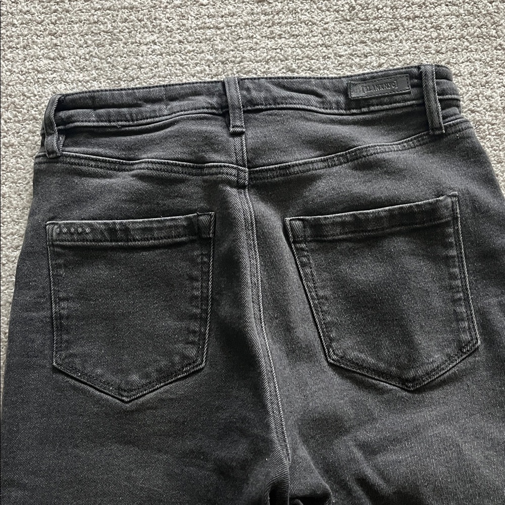 Blank NYC The Franklin Ribcage Wide Leg Jeans - Picture 6 of 6